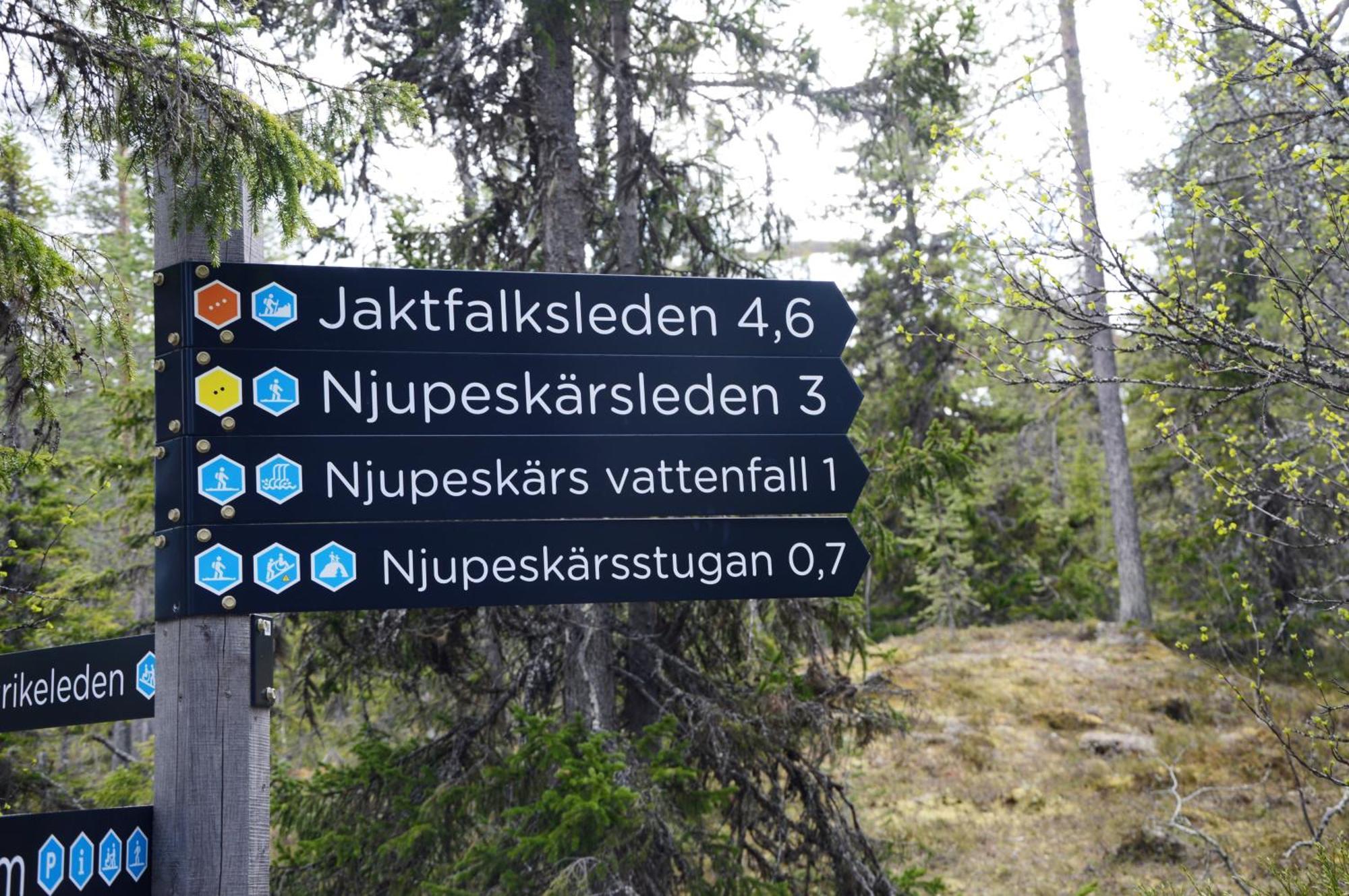 16 - Fulufjellets Nasjonalparker - Natur-, Dyre- Og Fugleopplevelser Ljørdal Exterior foto