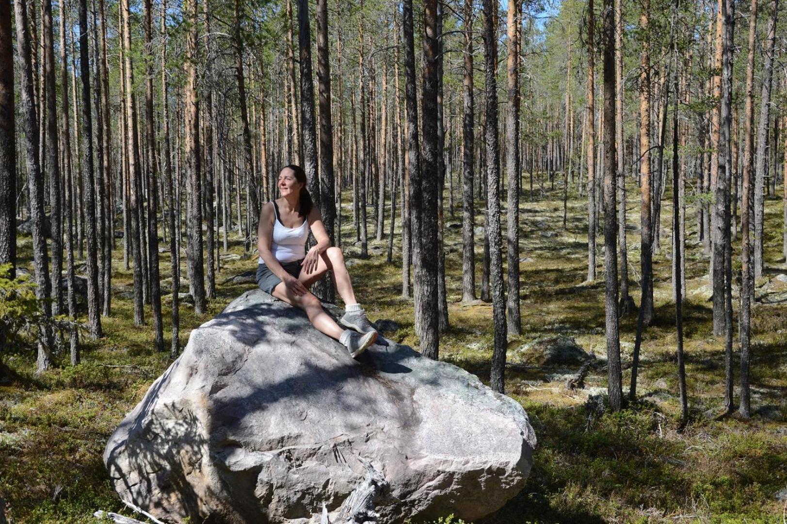 16 - Fulufjellets Nasjonalparker - Natur-, Dyre- Og Fugleopplevelser Ljørdal Exterior foto