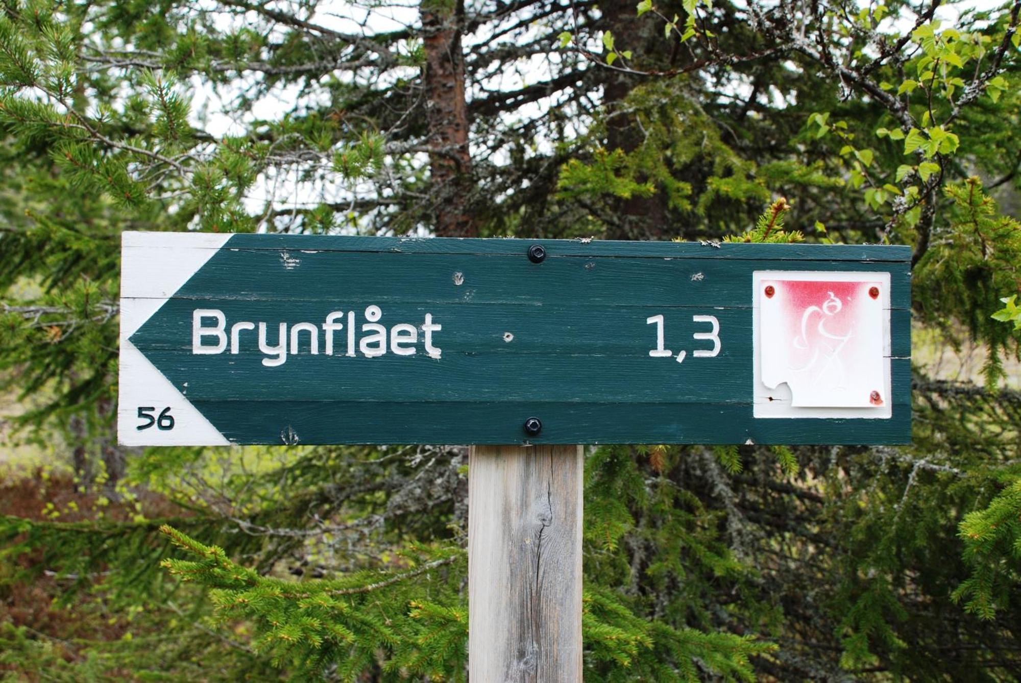 16 - Fulufjellets Nasjonalparker - Natur-, Dyre- Og Fugleopplevelser Ljørdal Exterior foto