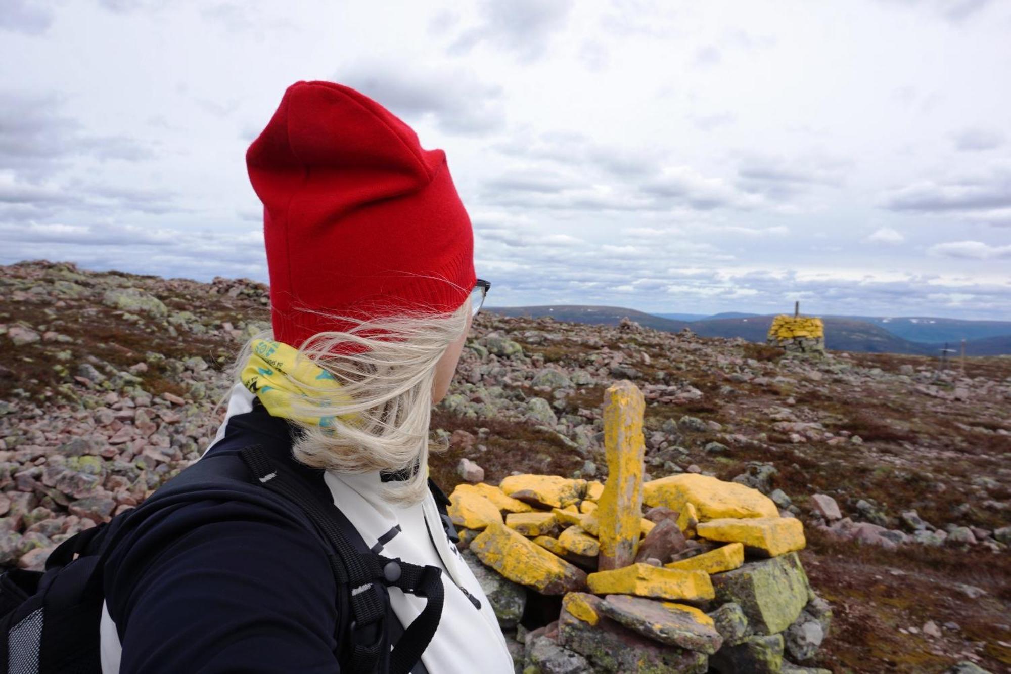 16 - Fulufjellets Nasjonalparker - Natur-, Dyre- Og Fugleopplevelser Ljørdal Exterior foto