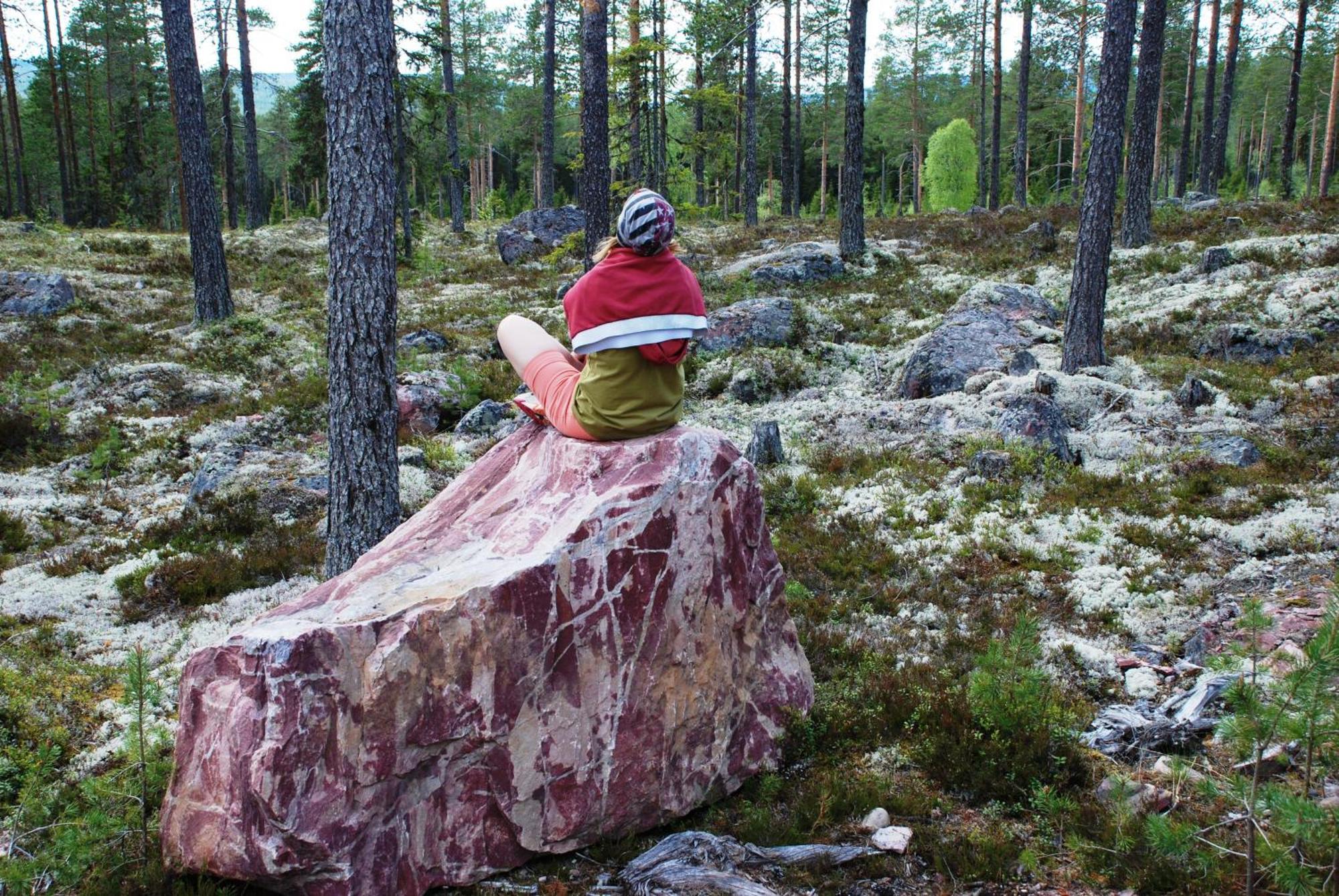 16 - Fulufjellets Nasjonalparker - Natur-, Dyre- Og Fugleopplevelser Ljørdal Exterior foto